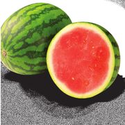 Watermelon - $5.99