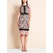 Jax - Colour Block Lace Sheath Dress - $129.99 ($118.01 Off)