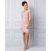 Embroidered Sequin & Mesh Boat Neck Dress - $20.00 ($169.95 Off)