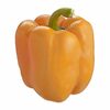Orange, Red or Yellow Sweet Peppers - $2.99/lb