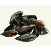 Canadian Cove Fresh Cultivated Mussels  - $6.99 ($1.00 off)